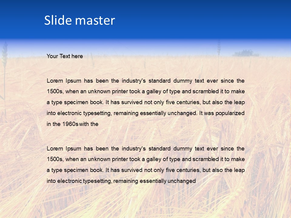 Processed Grains Seed Whole Wheat PowerPoint Template