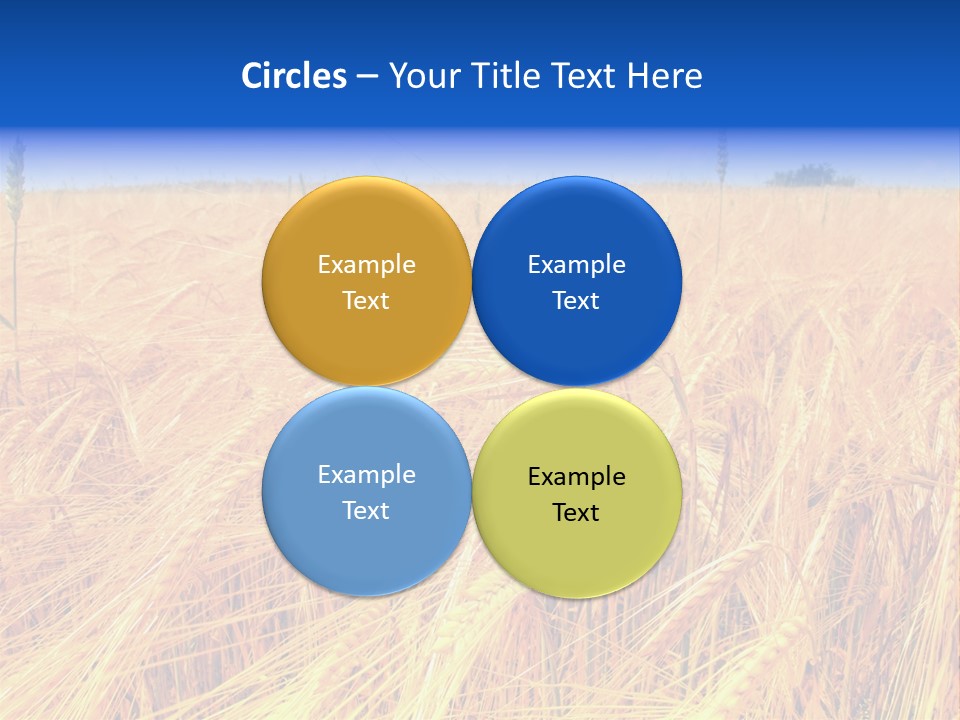 Processed Grains Seed Whole Wheat PowerPoint Template