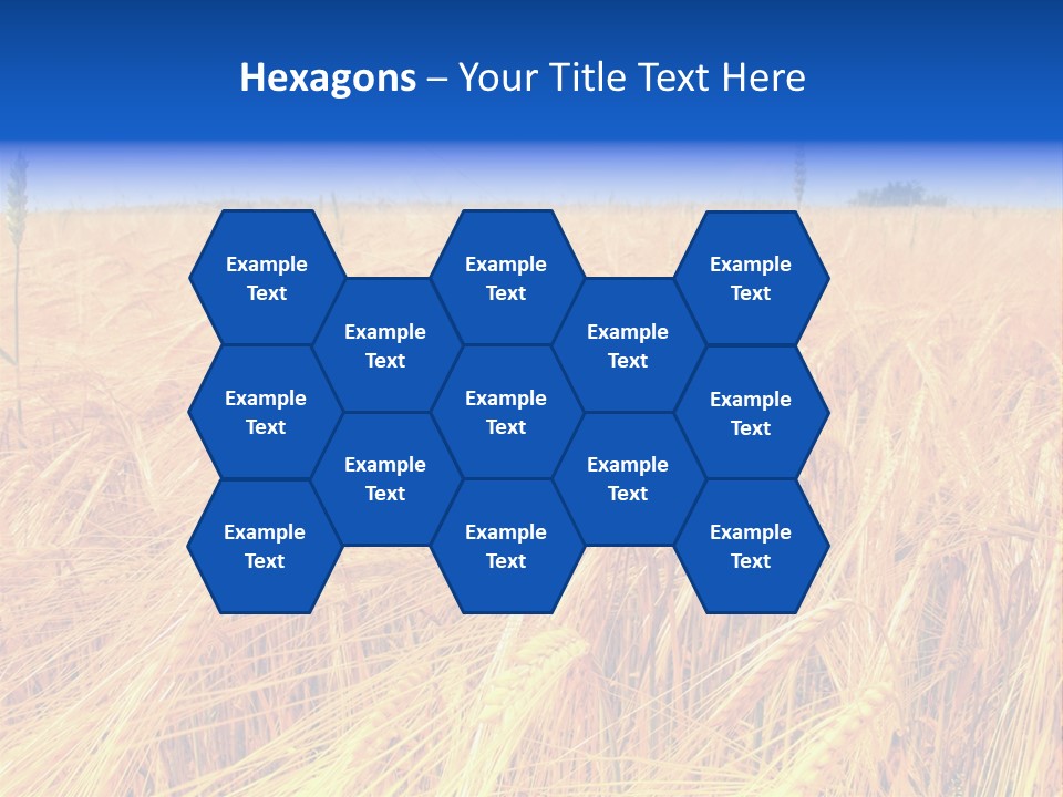 Processed Grains Seed Whole Wheat PowerPoint Template