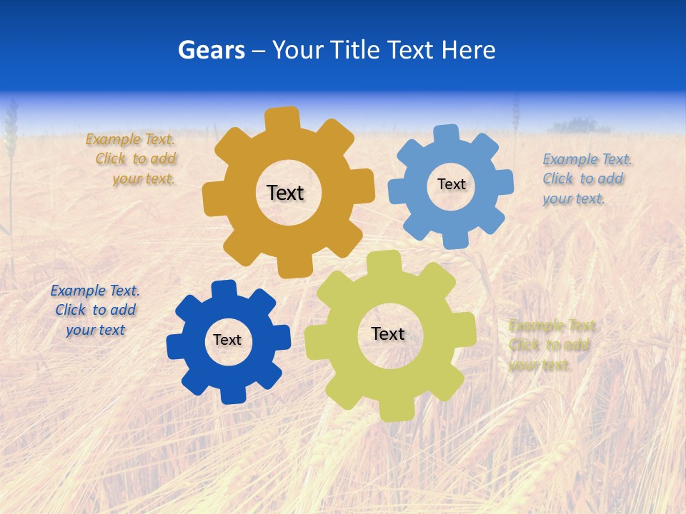 Processed Grains Seed Whole Wheat PowerPoint Template
