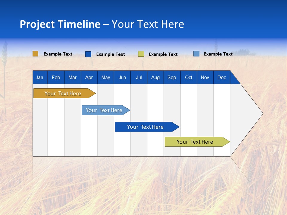 Processed Grains Seed Whole Wheat PowerPoint Template