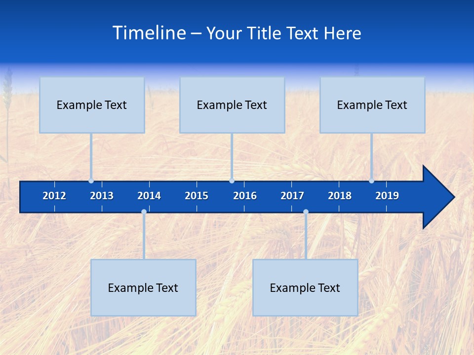 Processed Grains Seed Whole Wheat PowerPoint Template