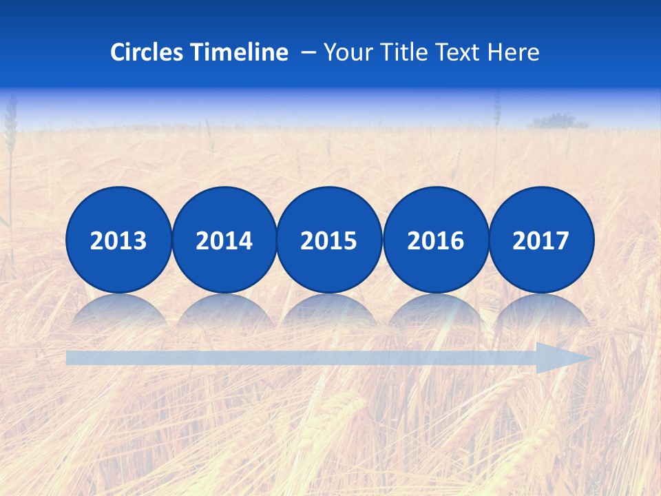 Processed Grains Seed Whole Wheat PowerPoint Template