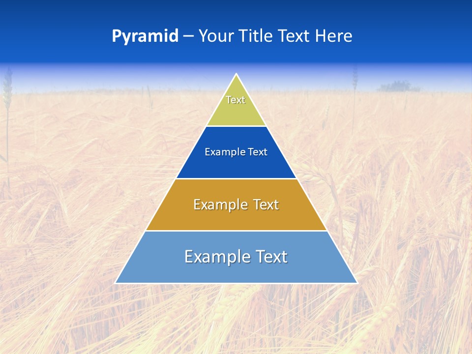 Processed Grains Seed Whole Wheat PowerPoint Template