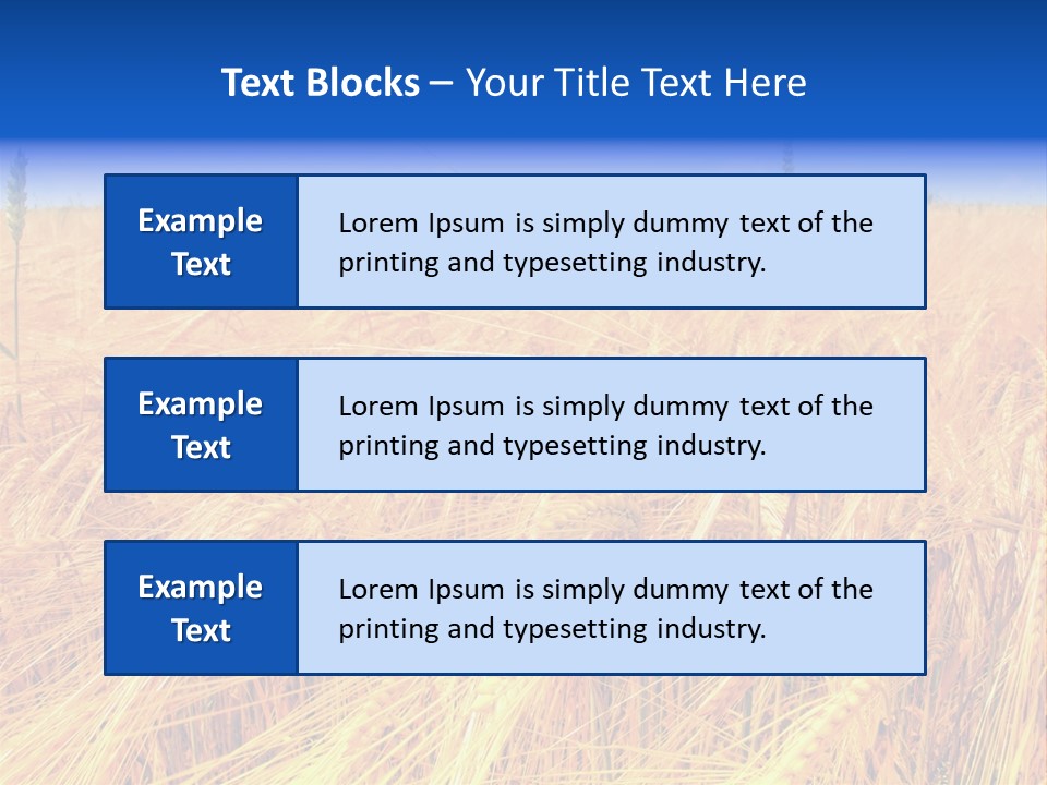 Processed Grains Seed Whole Wheat PowerPoint Template