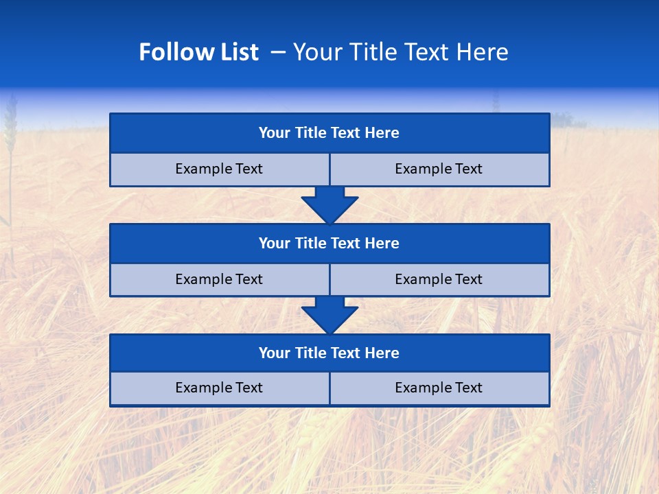 Processed Grains Seed Whole Wheat PowerPoint Template