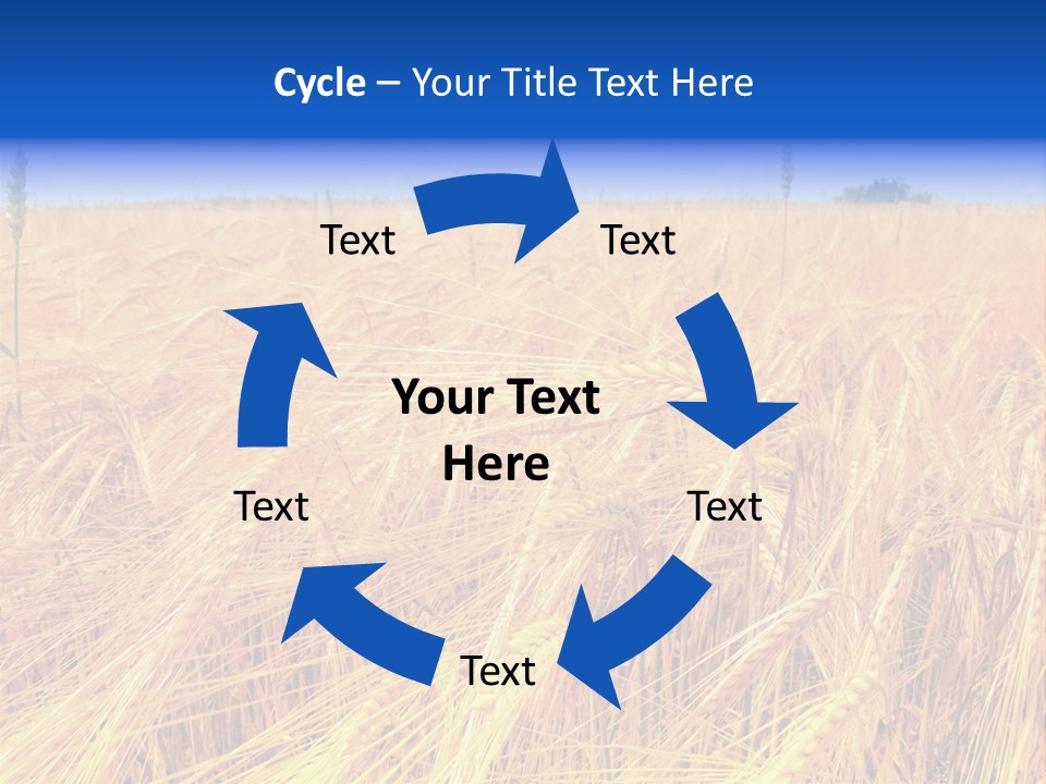 Processed Grains Seed Whole Wheat PowerPoint Template