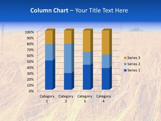 Processed Grains Seed Whole Wheat PowerPoint Template