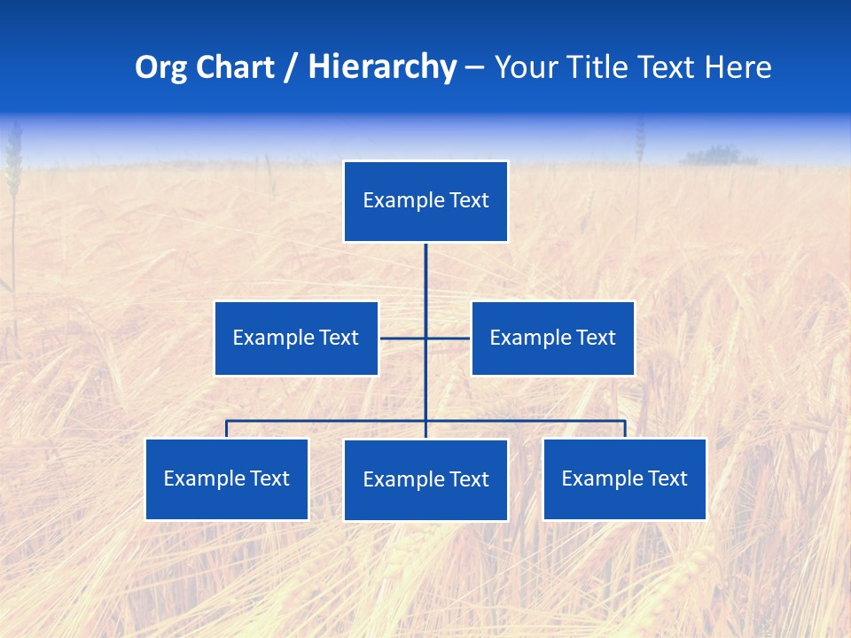 Processed Grains Seed Whole Wheat PowerPoint Template