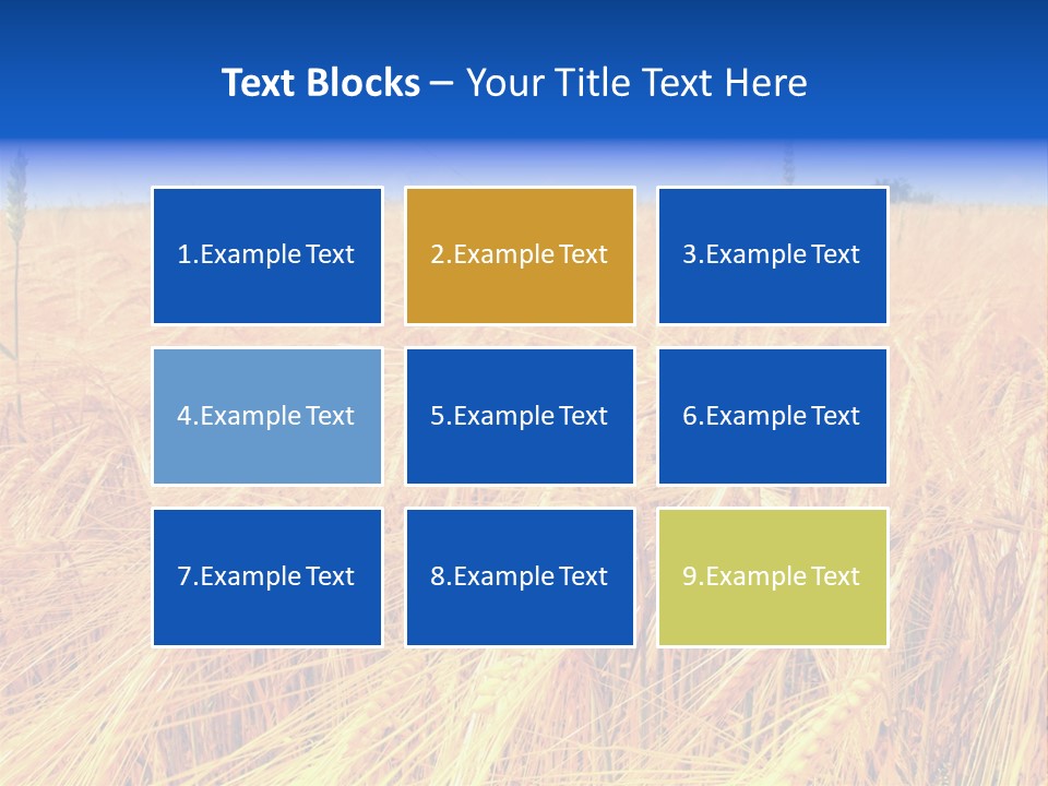 Processed Grains Seed Whole Wheat PowerPoint Template