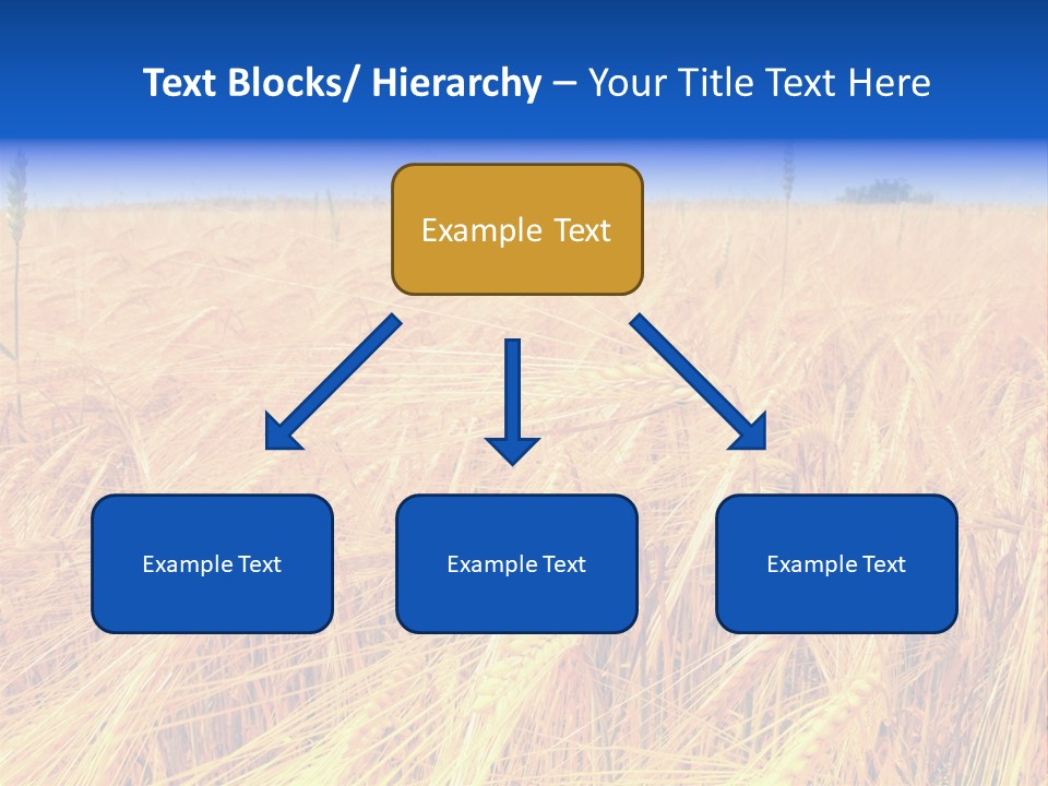 Processed Grains Seed Whole Wheat PowerPoint Template