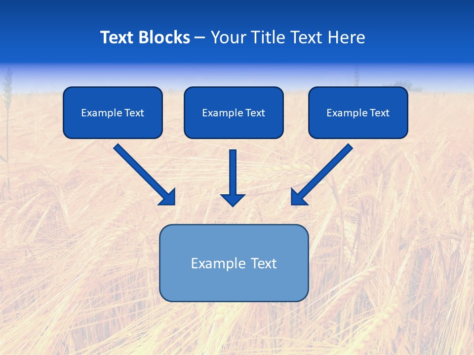Processed Grains Seed Whole Wheat PowerPoint Template