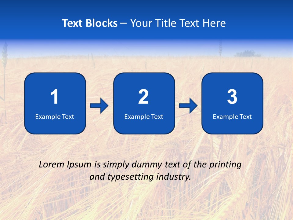 Processed Grains Seed Whole Wheat PowerPoint Template
