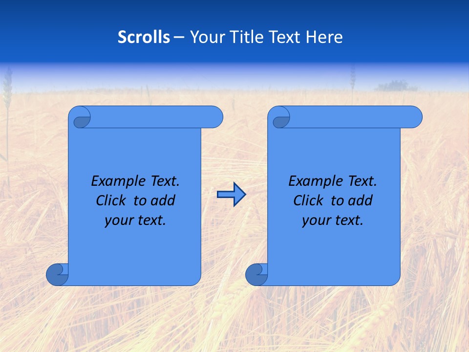 Processed Grains Seed Whole Wheat PowerPoint Template
