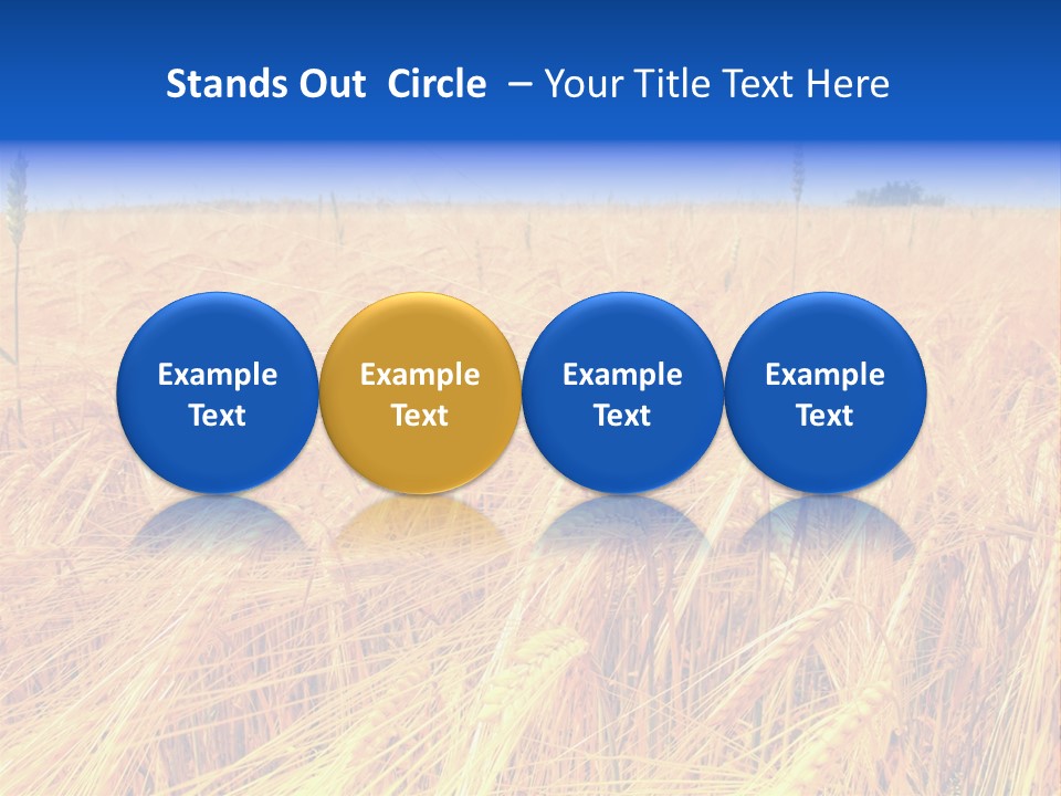 Processed Grains Seed Whole Wheat PowerPoint Template