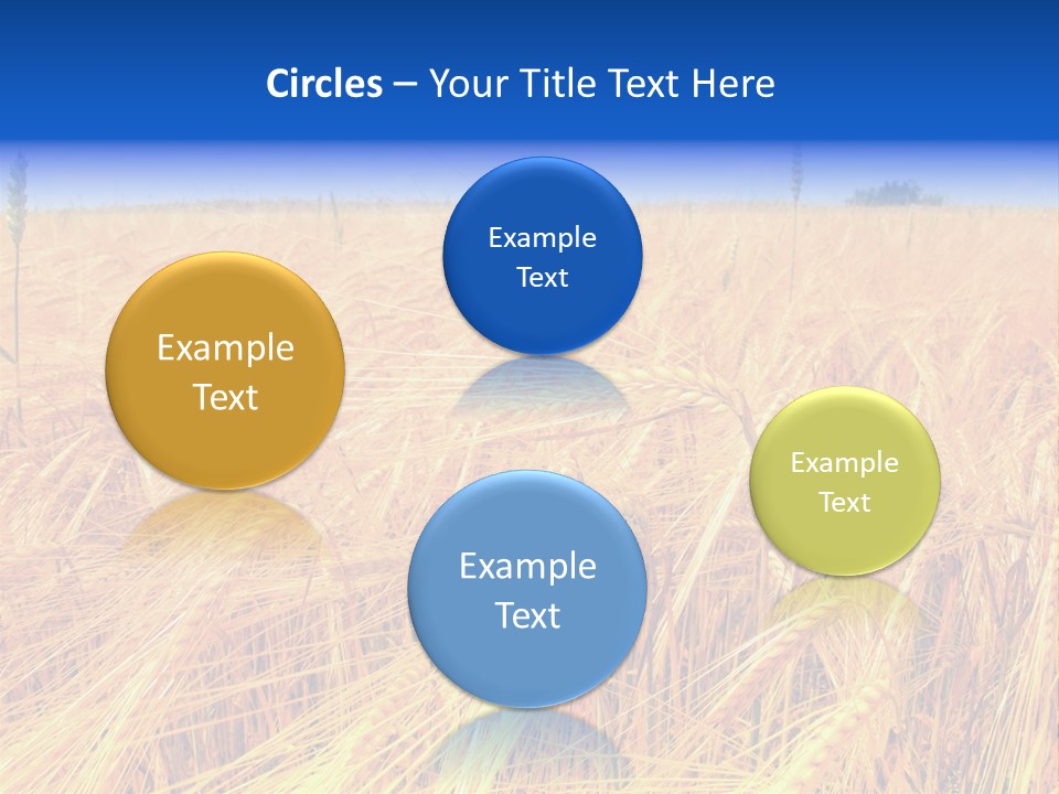 Processed Grains Seed Whole Wheat PowerPoint Template