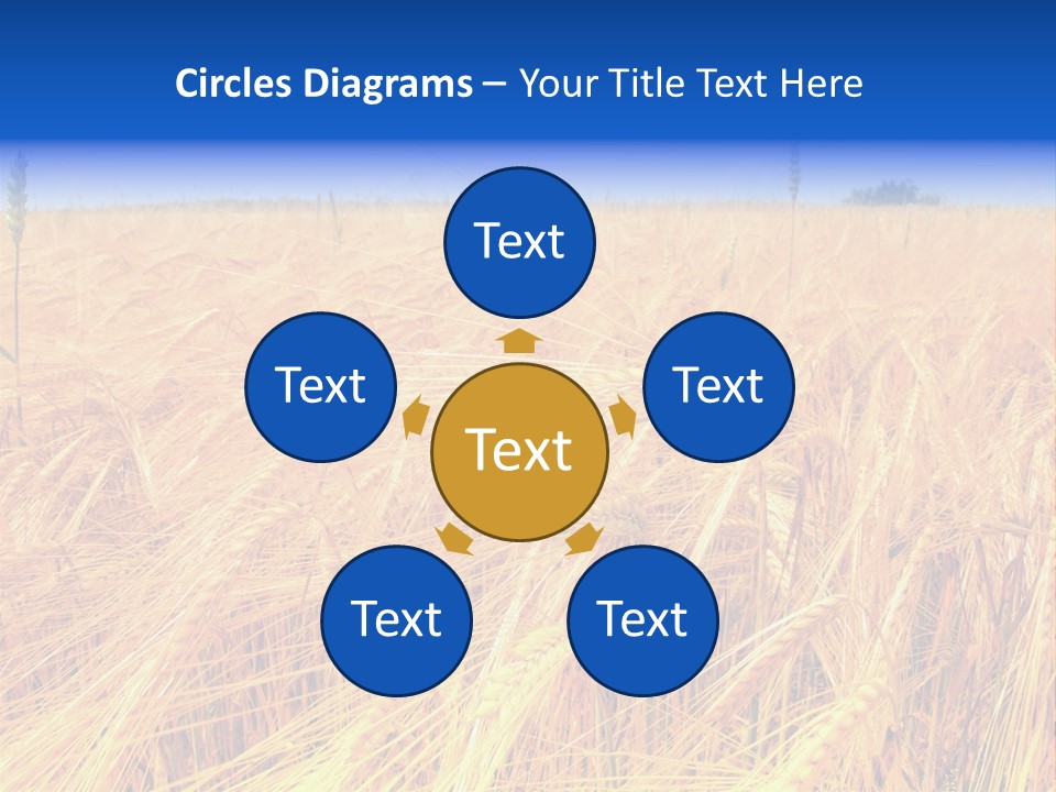 Processed Grains Seed Whole Wheat PowerPoint Template