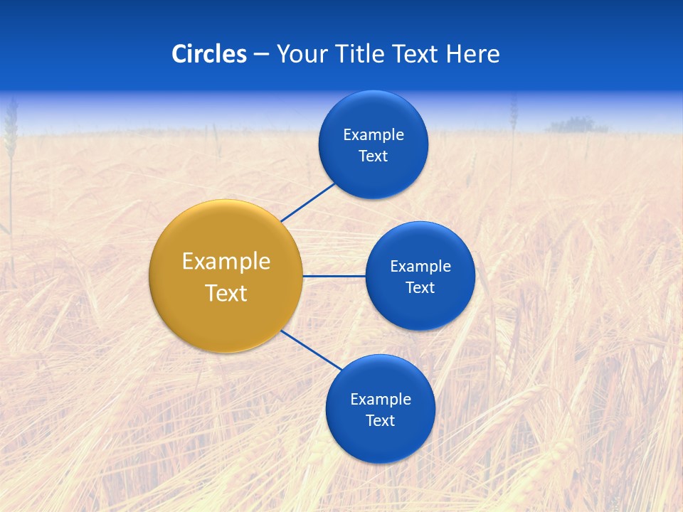 Processed Grains Seed Whole Wheat PowerPoint Template