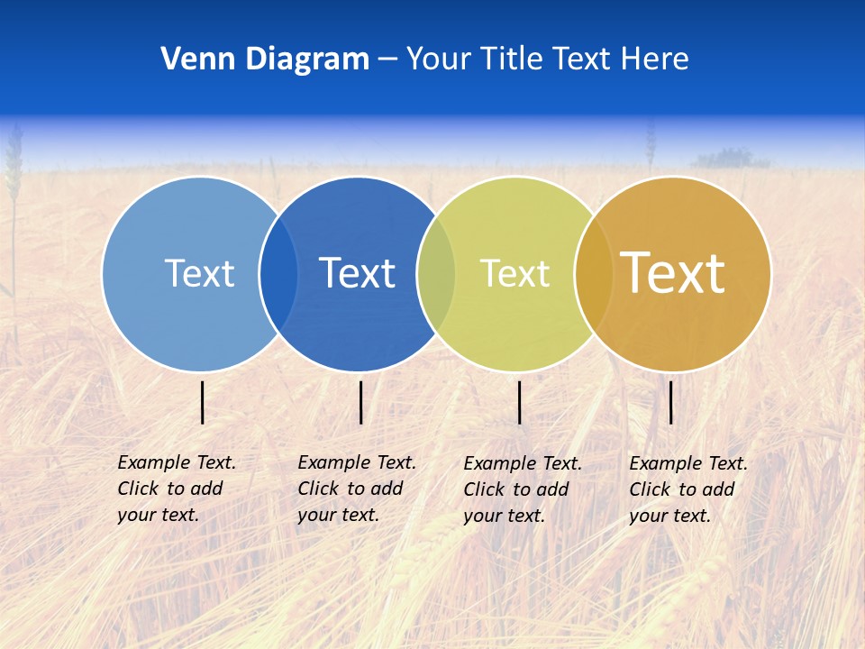 Processed Grains Seed Whole Wheat PowerPoint Template