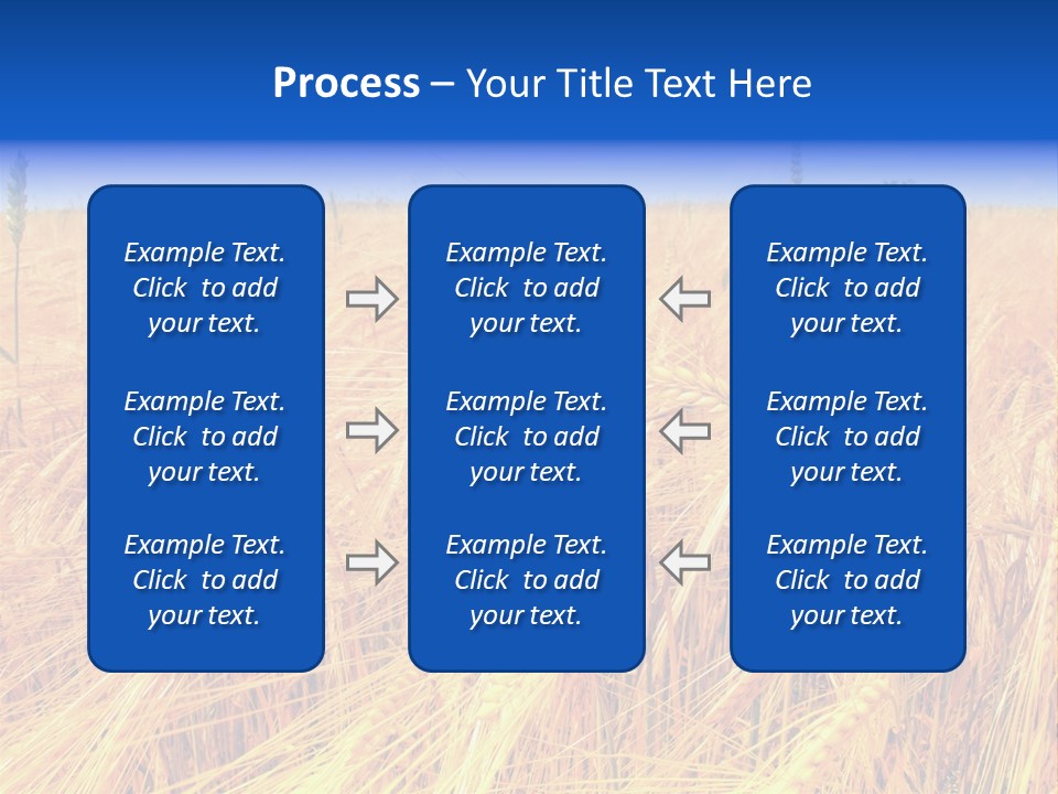 Processed Grains Seed Whole Wheat PowerPoint Template