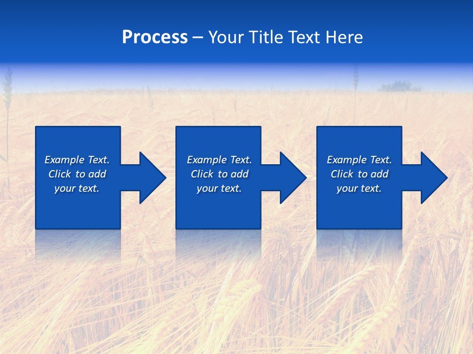Processed Grains Seed Whole Wheat PowerPoint Template