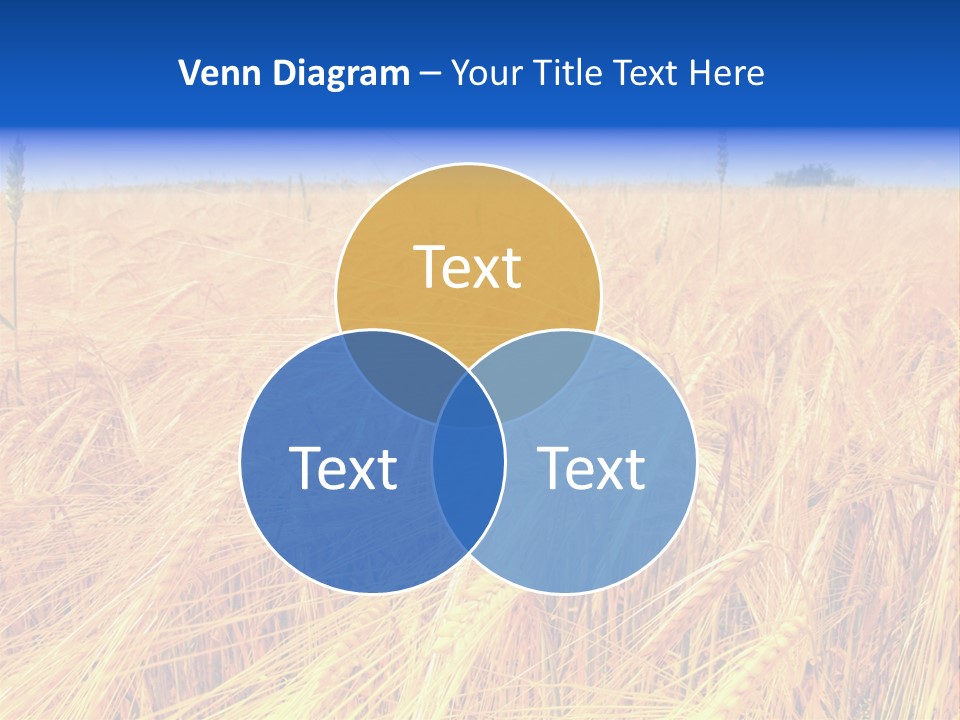 Processed Grains Seed Whole Wheat PowerPoint Template