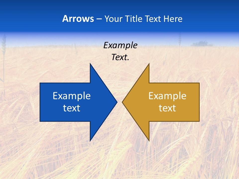Processed Grains Seed Whole Wheat PowerPoint Template