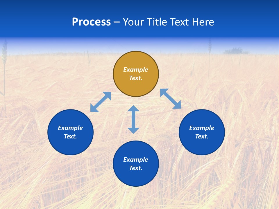 Processed Grains Seed Whole Wheat PowerPoint Template
