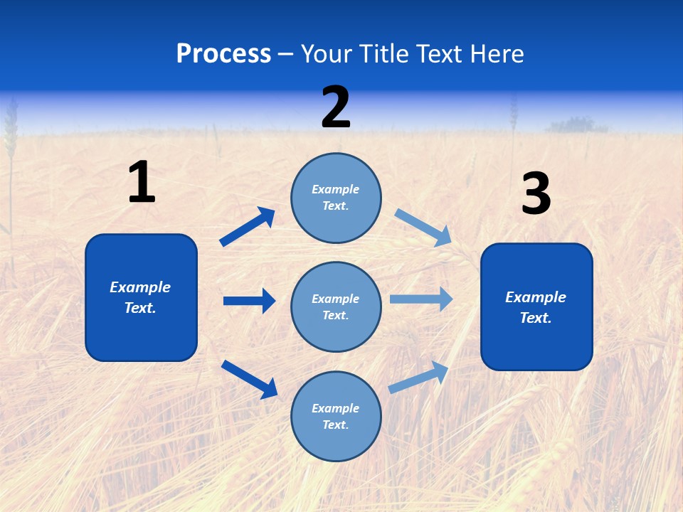 Processed Grains Seed Whole Wheat PowerPoint Template