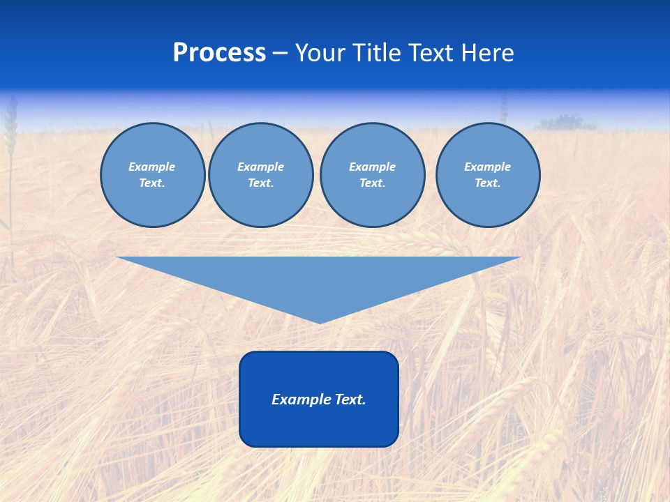 Processed Grains Seed Whole Wheat PowerPoint Template