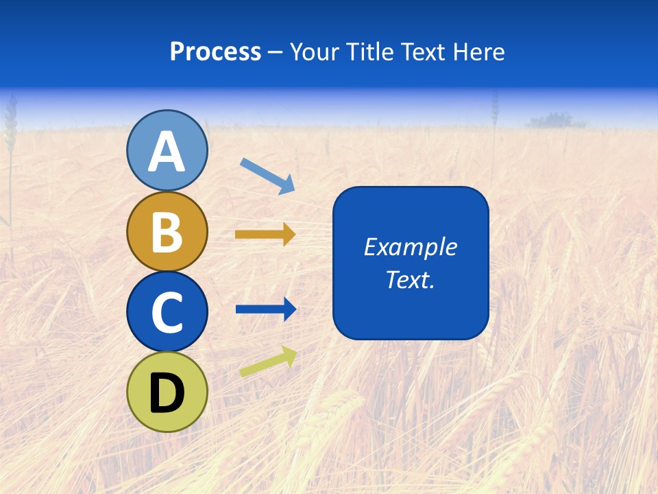 Processed Grains Seed Whole Wheat PowerPoint Template