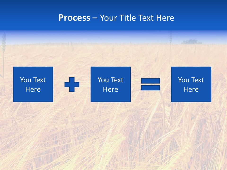 Processed Grains Seed Whole Wheat PowerPoint Template