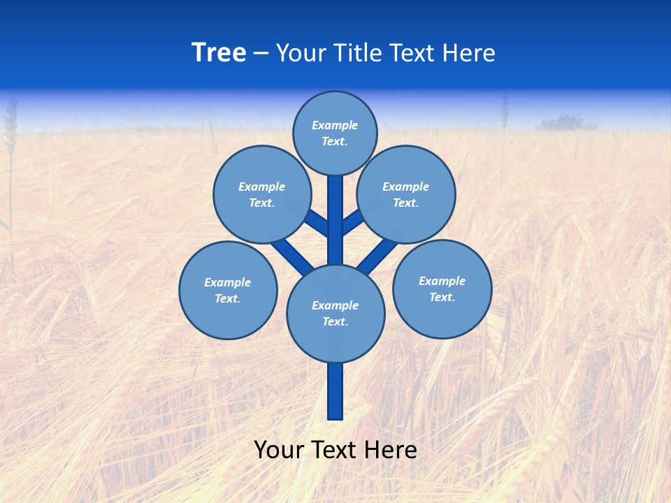 Processed Grains Seed Whole Wheat PowerPoint Template
