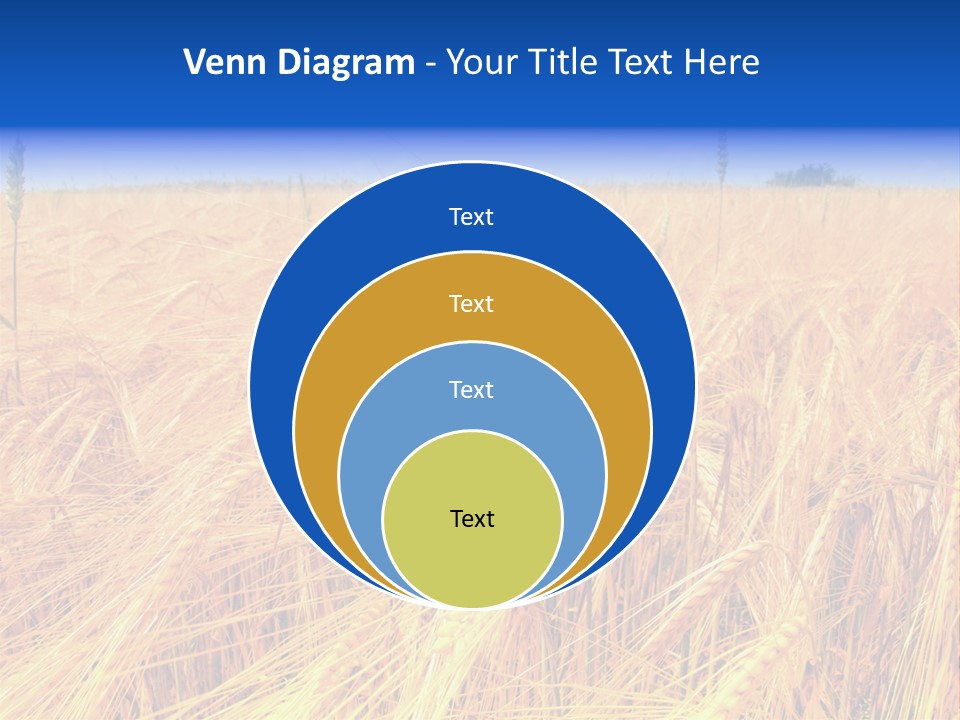 Processed Grains Seed Whole Wheat PowerPoint Template