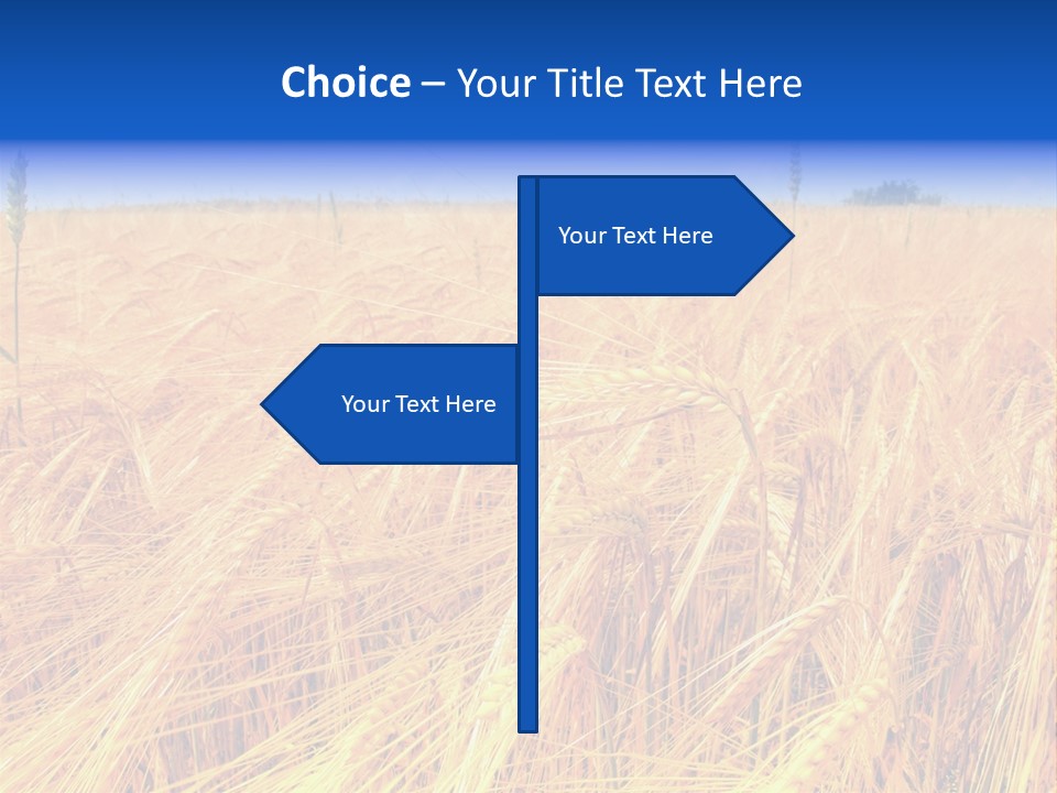 Processed Grains Seed Whole Wheat PowerPoint Template