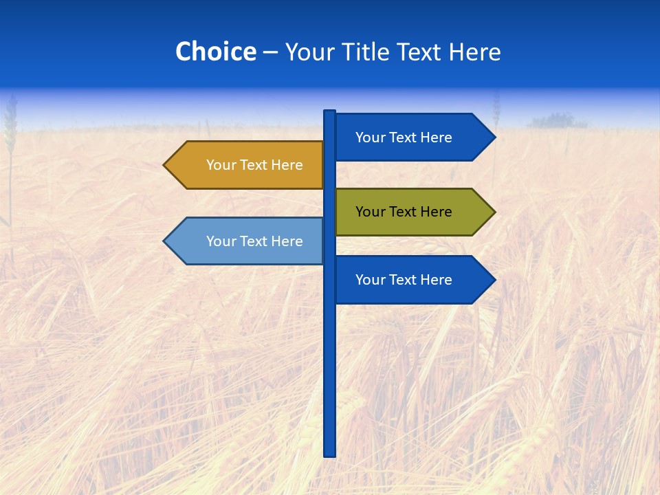 Processed Grains Seed Whole Wheat PowerPoint Template