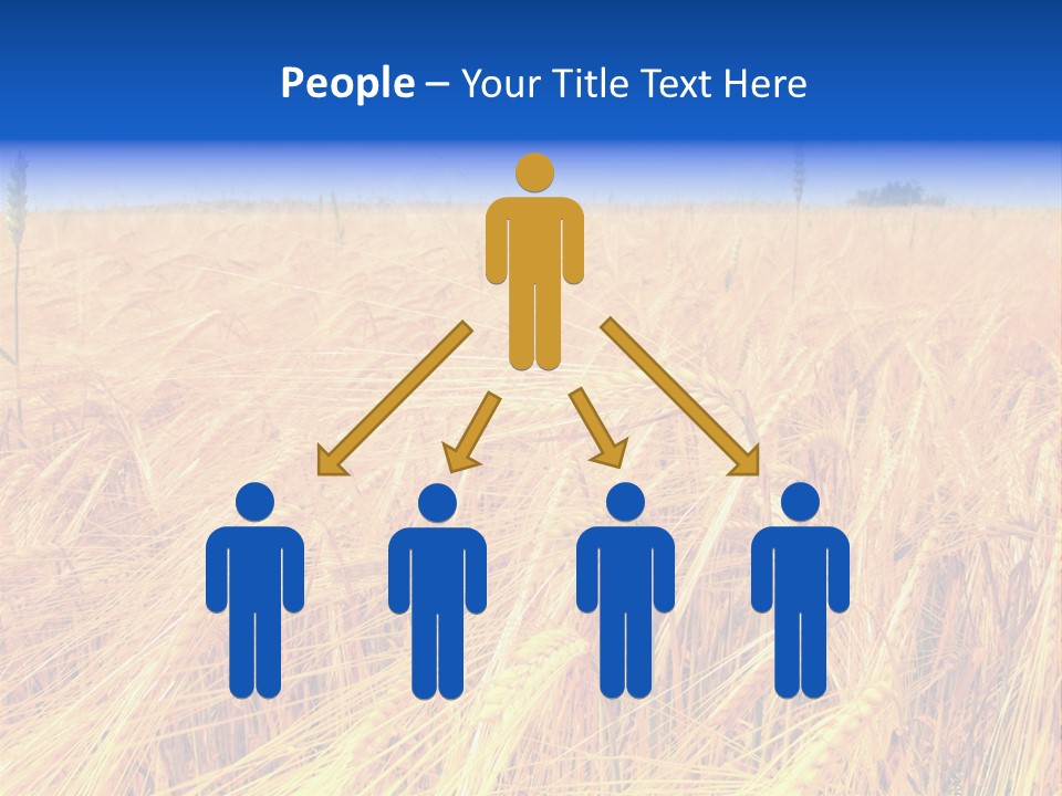 Processed Grains Seed Whole Wheat PowerPoint Template