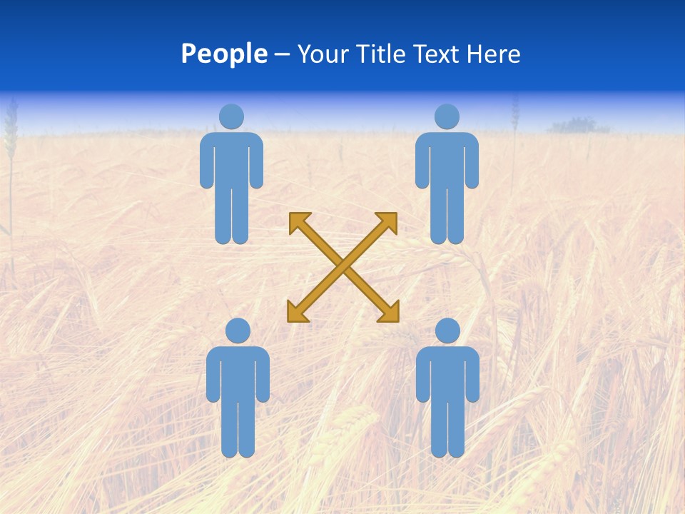 Processed Grains Seed Whole Wheat PowerPoint Template