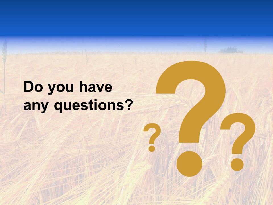 Processed Grains Seed Whole Wheat PowerPoint Template