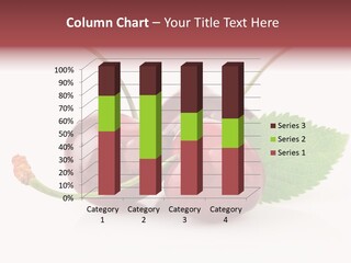 Meal Diet Berry PowerPoint Template