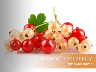 Object Twig Cluster PowerPoint Template