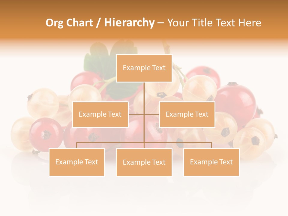 Object Twig Cluster PowerPoint Template