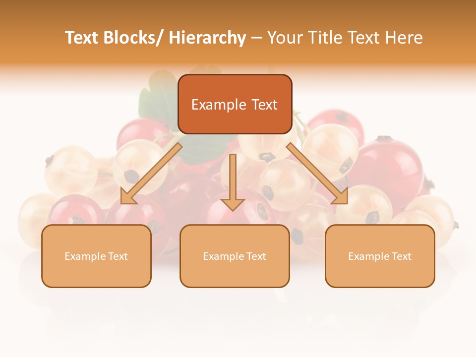 Object Twig Cluster PowerPoint Template