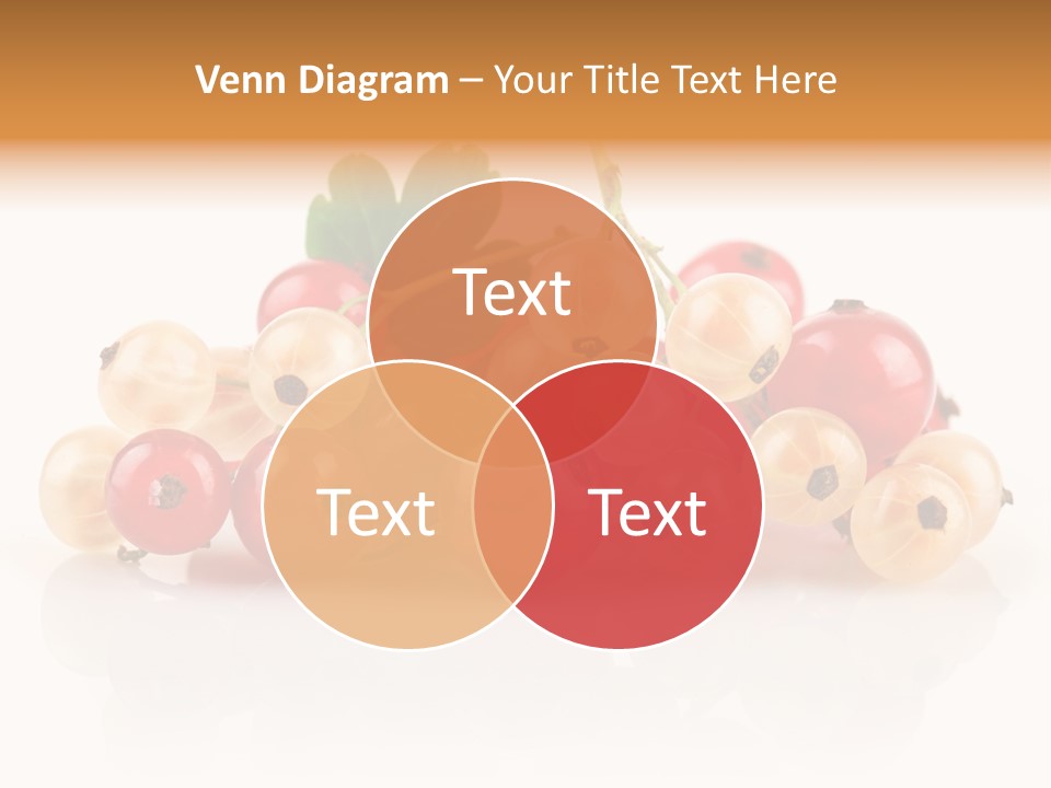 Object Twig Cluster PowerPoint Template