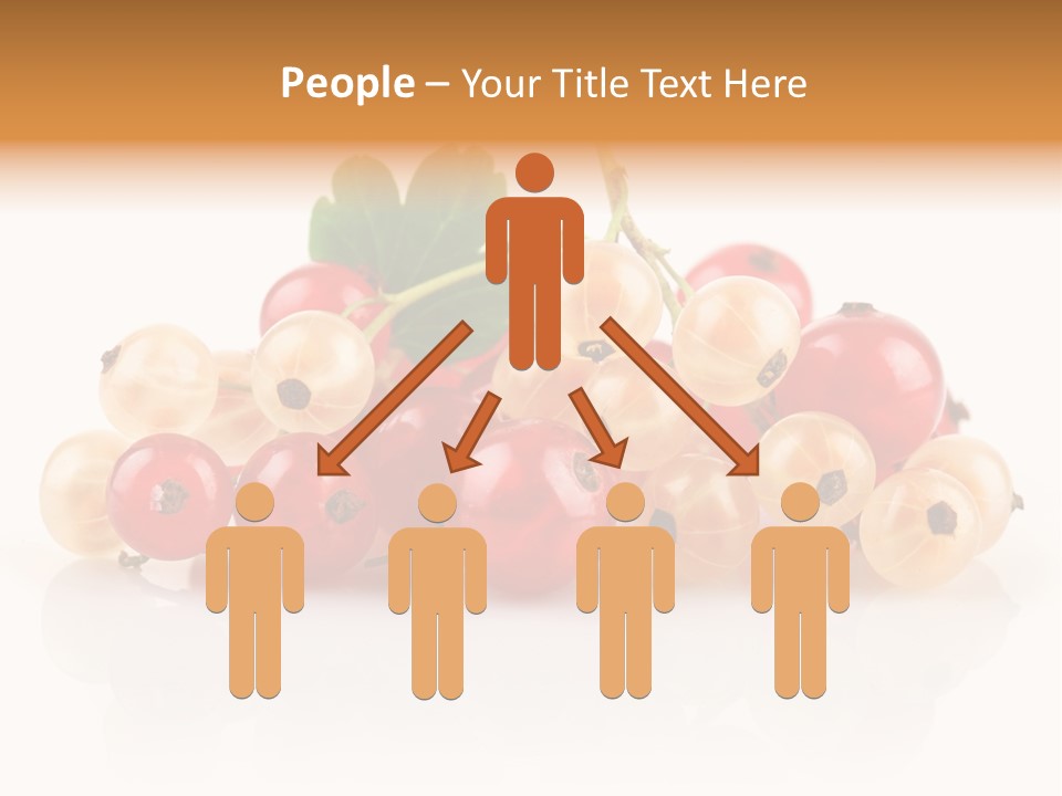 Object Twig Cluster PowerPoint Template