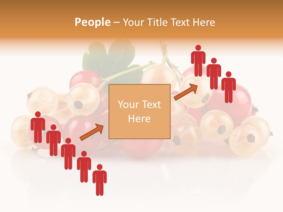 Object Twig Cluster PowerPoint Template