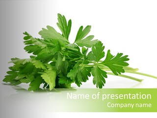 Leaf Healthy Parsley PowerPoint Template