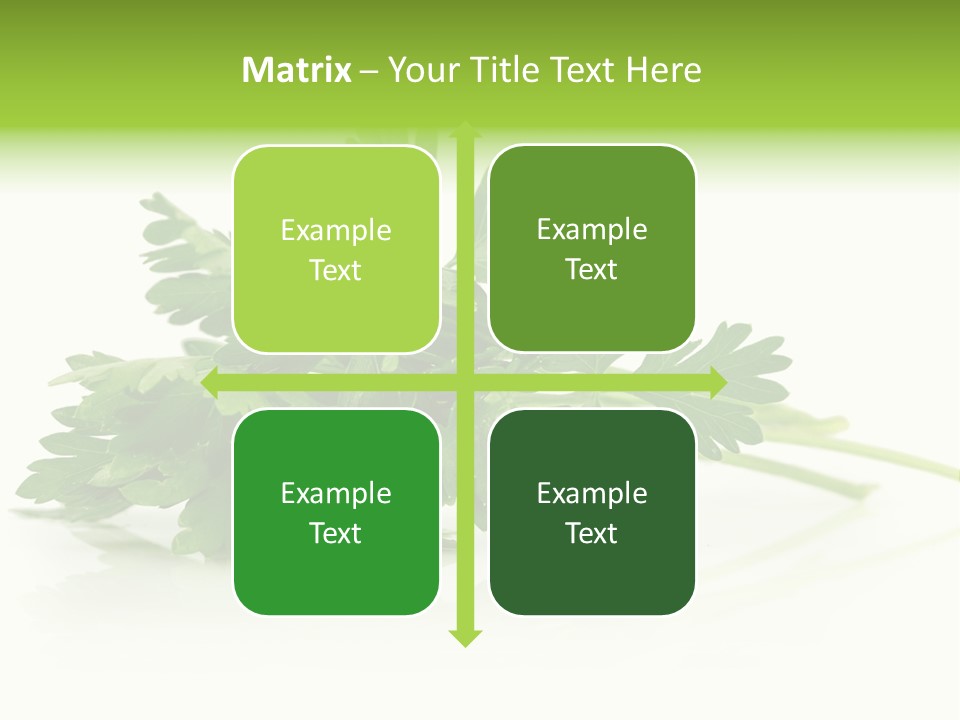Leaf Healthy Parsley PowerPoint Template