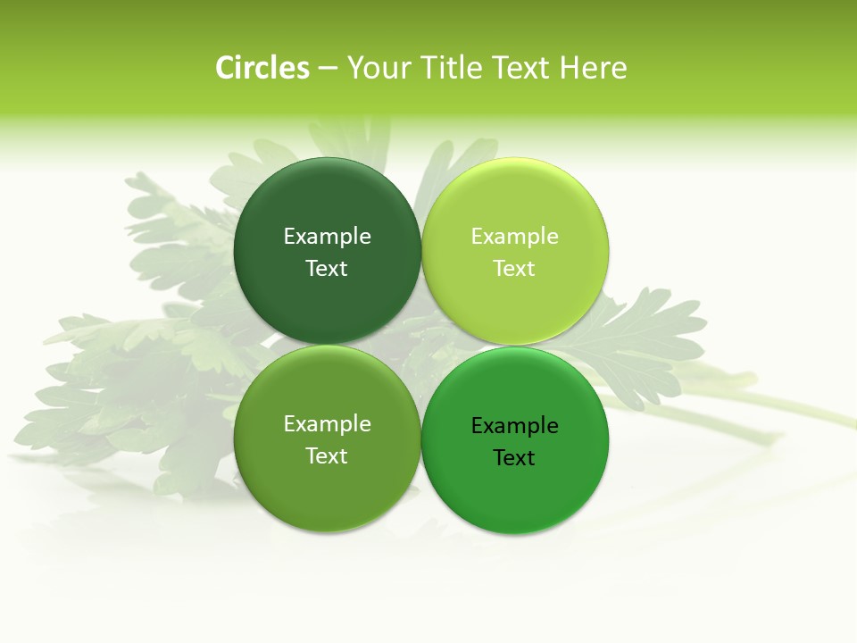Leaf Healthy Parsley PowerPoint Template