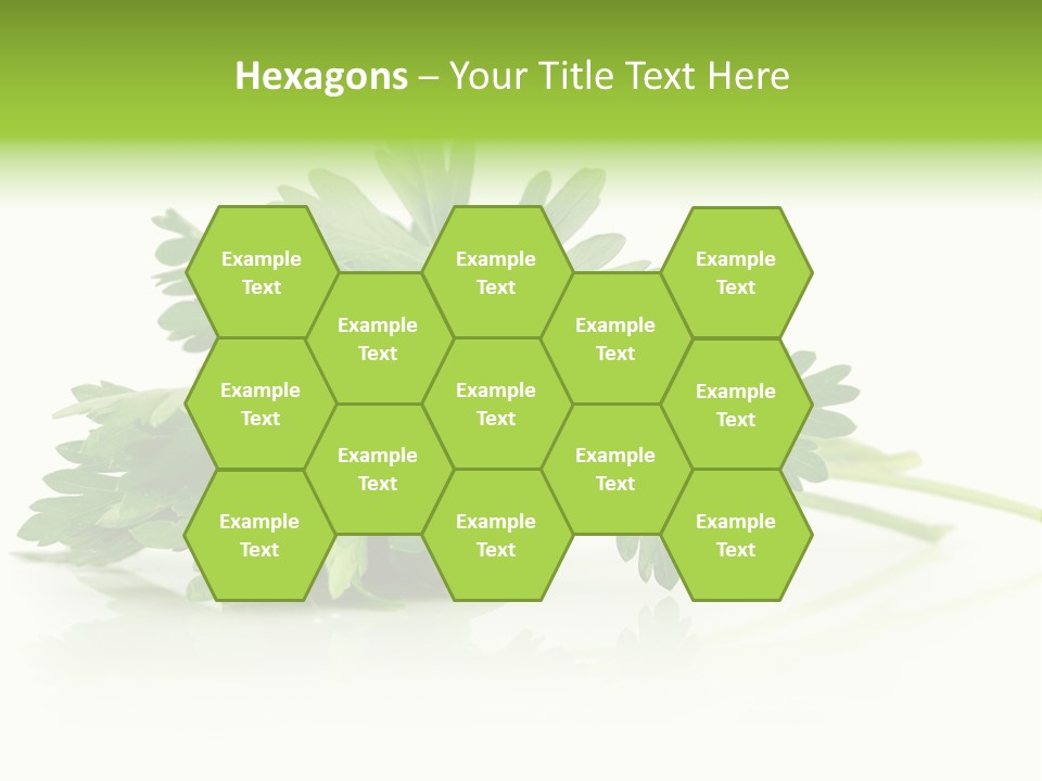 Leaf Healthy Parsley PowerPoint Template